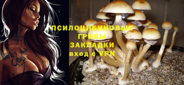 круглые Гусиноозёрск