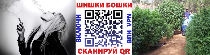 Купить где  Переславль-Залесский  Бошки Шишки THC 21% 